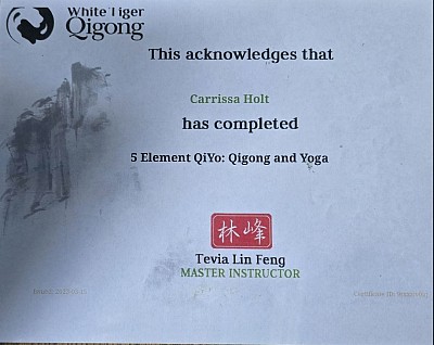 5 Elements QiYo