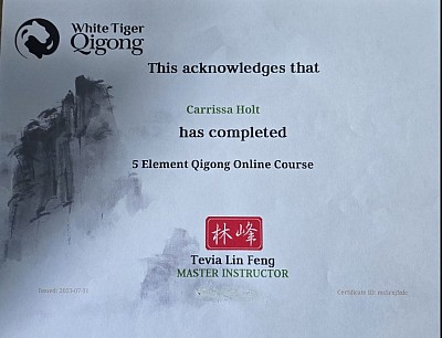 5 Elements Qigong