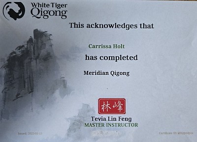 Meridian Qigong